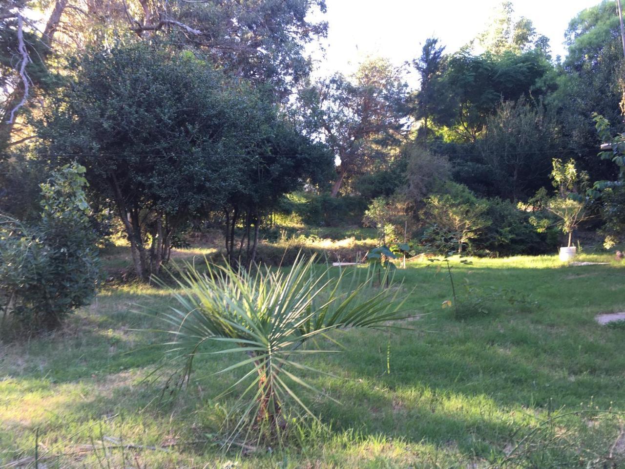 San Luis La Cabana מראה חיצוני תמונה